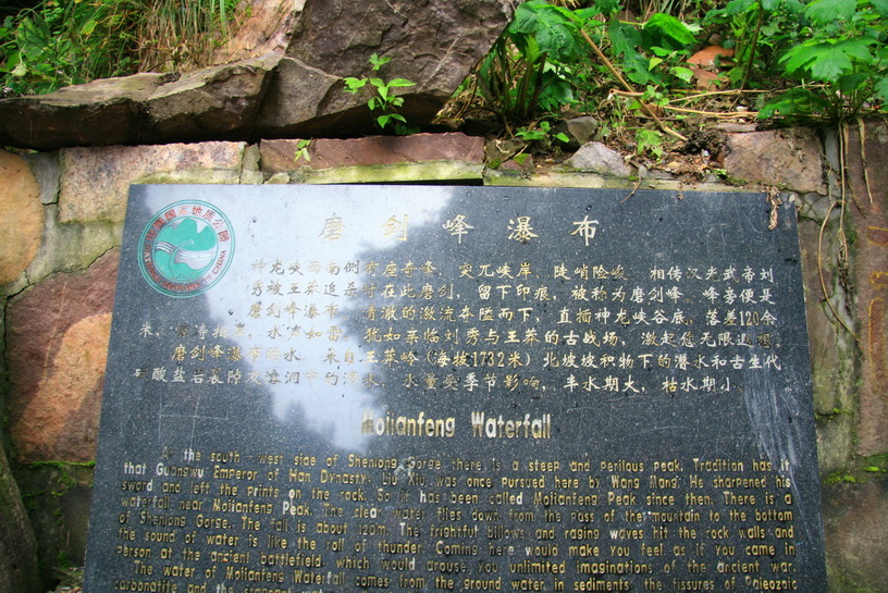 1312.jpg