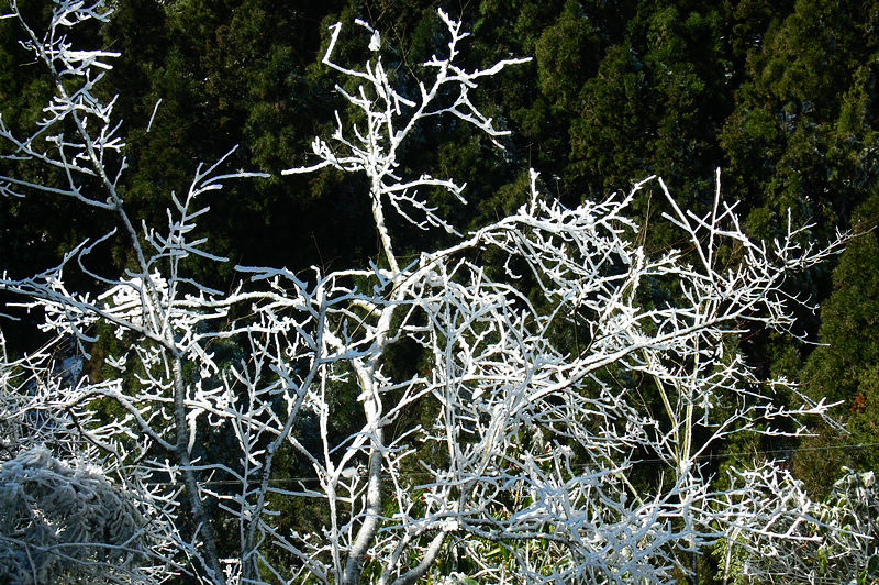 p1250035.jpg