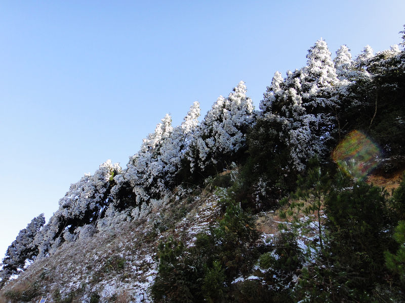 dsc08615.jpg