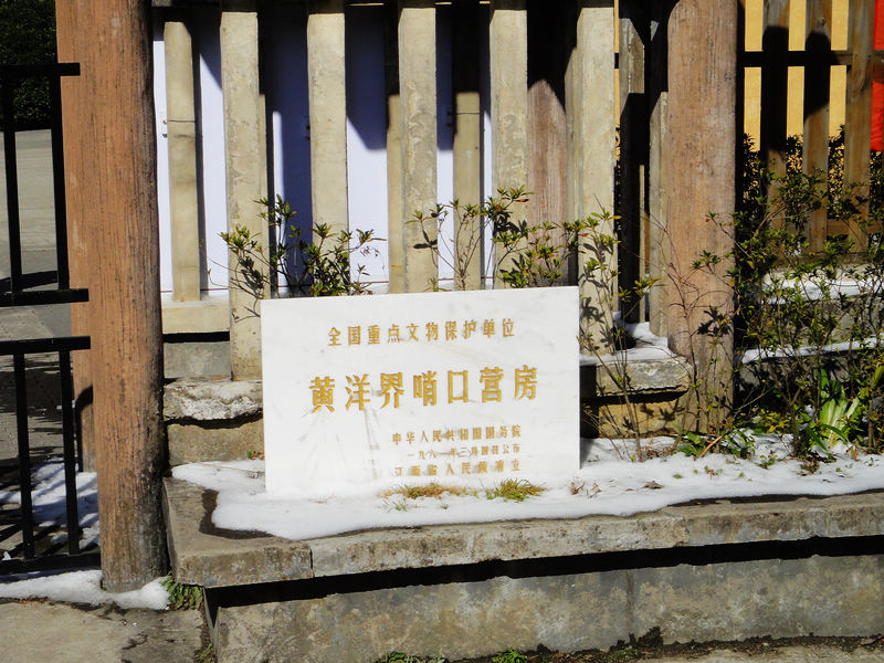 dsc08617.jpg