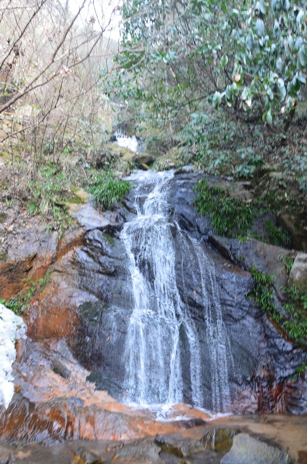 dsc_0172a.jpg