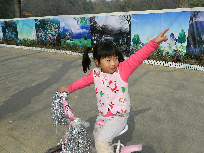 dscn2799.jpg