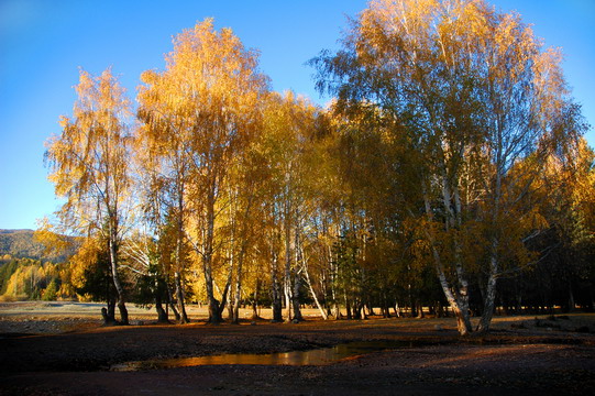 dsc_7774.1_.jpg