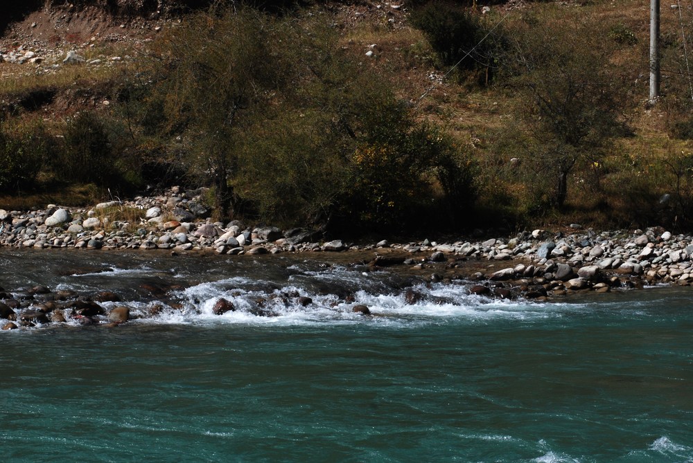 dsc_0164.jpg
