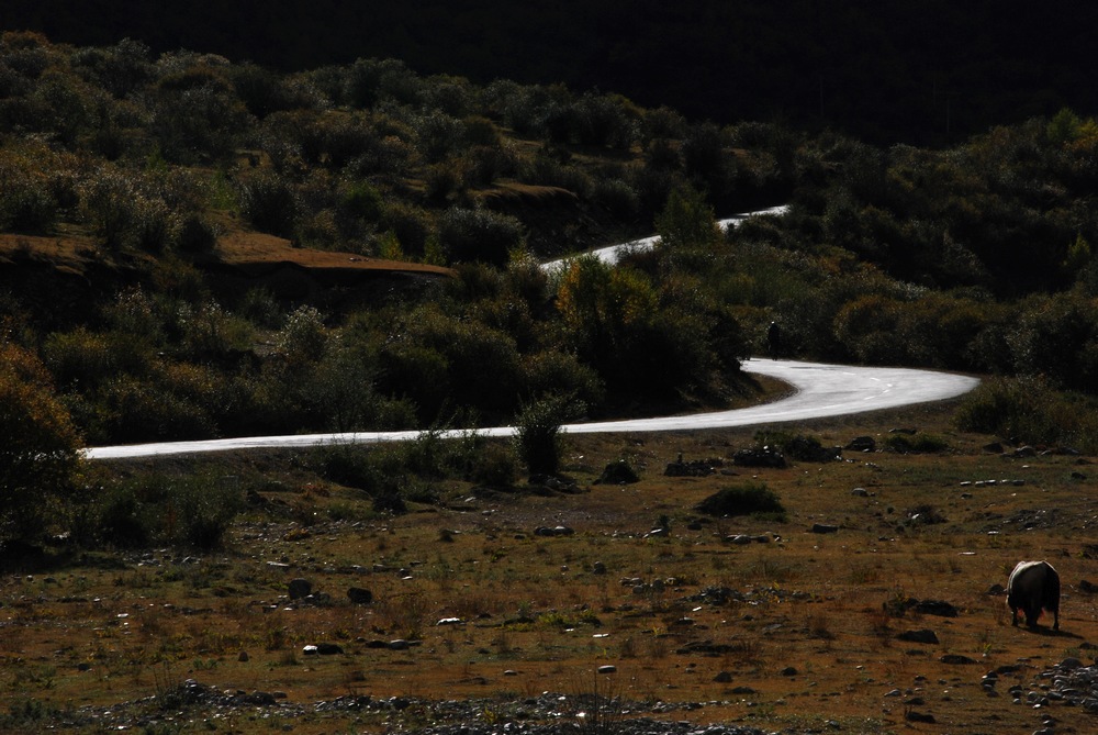 dsc_0228.jpg