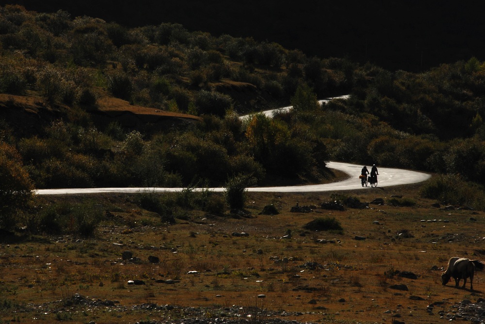 dsc_0227.jpg