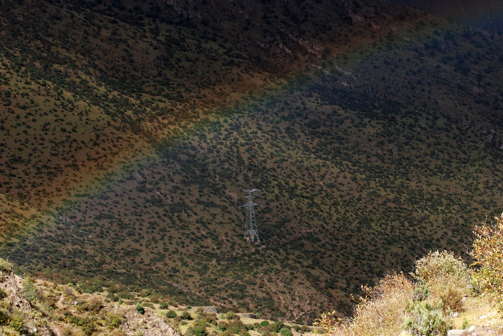 dsc_0206.jpg