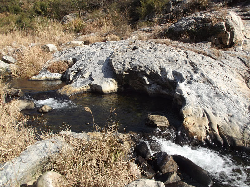 dscf0169_.jpg