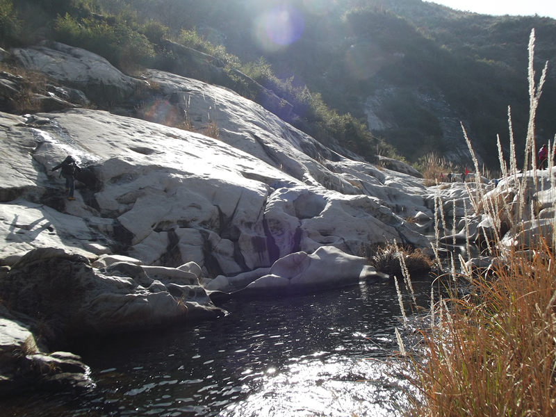 dscf0170_.jpg