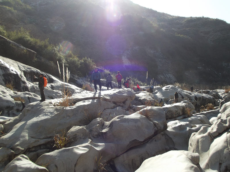 dscf0174_.jpg