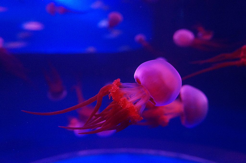 dsc09619.jpg