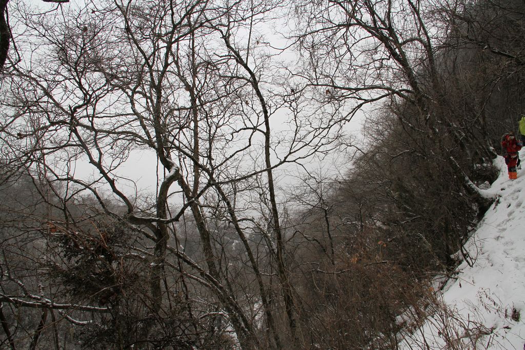 img_0189.jpg