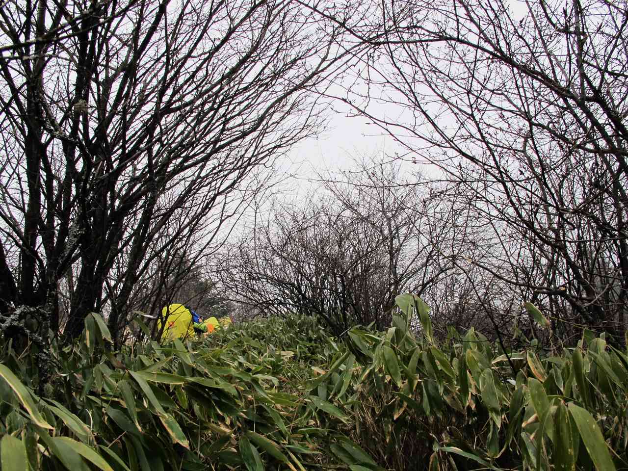 2013.1. 214.jpg