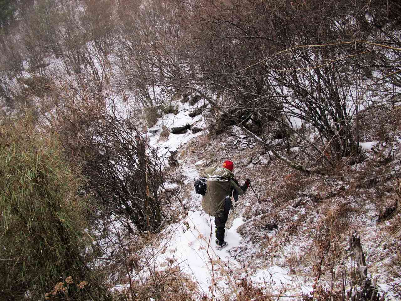 2013.1. 217.jpg