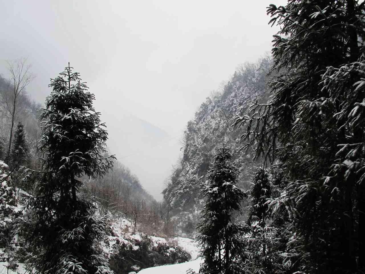 2013.1. 227.jpg