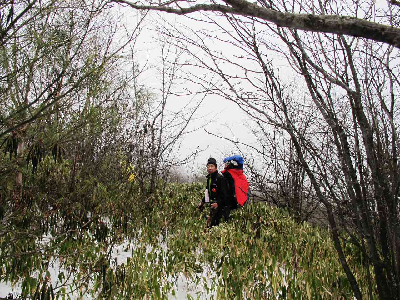 2013.1. 192.jpg