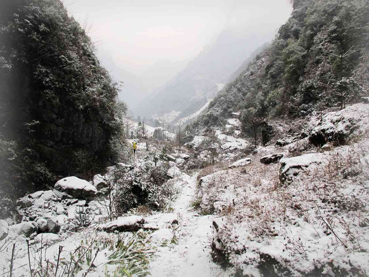 2013.1. 249.jpg