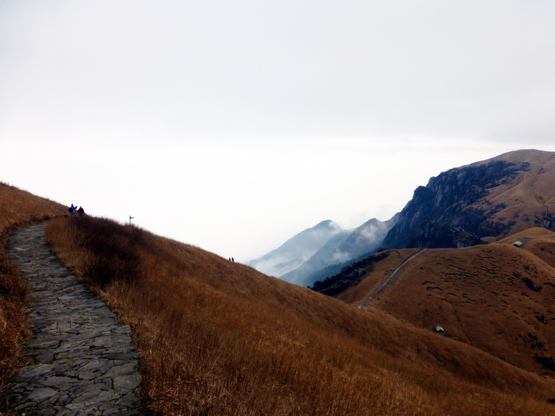 p1020633.jpg