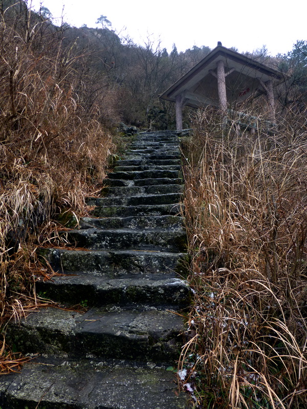 p1020704.jpg