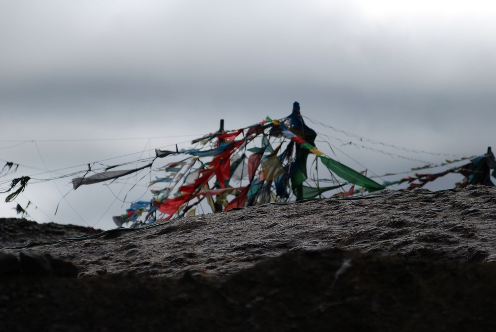 dsc_0403.jpg