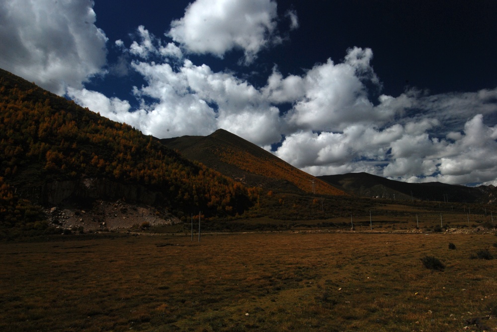 dsc_0442.jpg