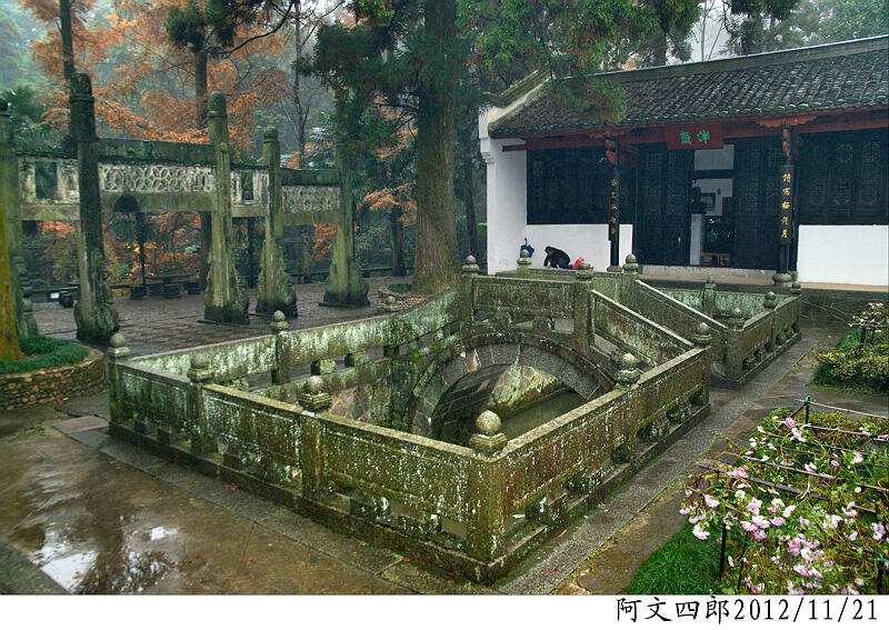 dsc08302.jpg