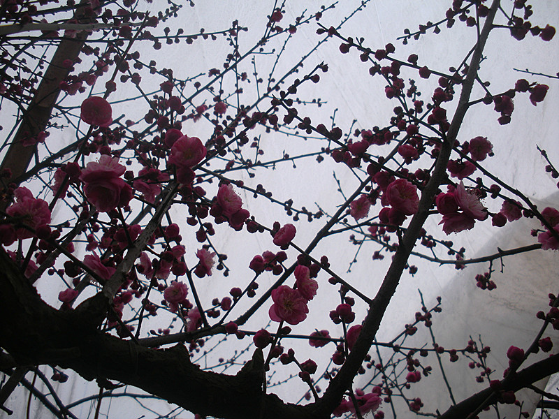 dscn3808_.jpg
