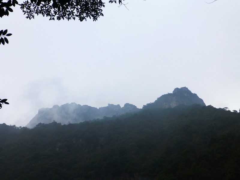p1020516.jpg