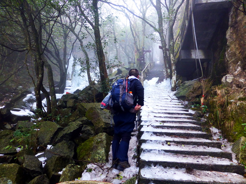 p1020530.jpg