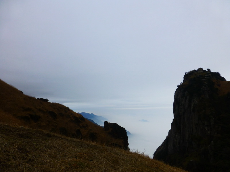 p1020572.jpg