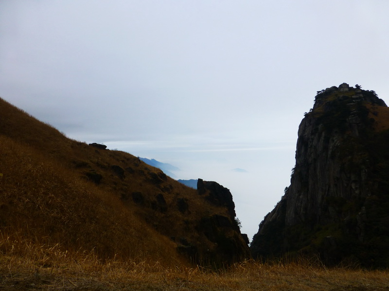 p1020573.jpg