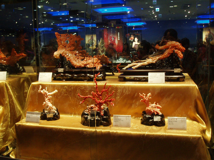 p1010069.jpg