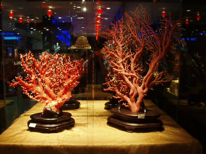 p1010074.jpg