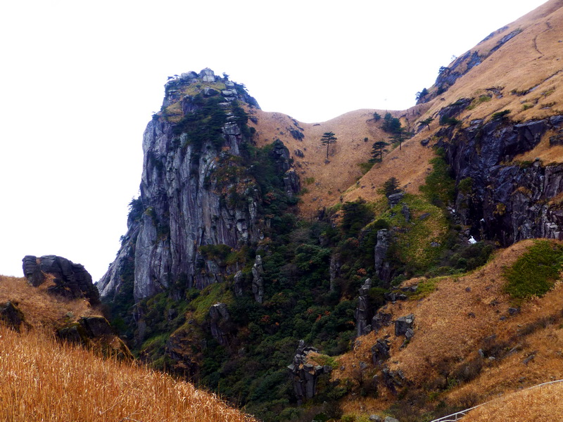 p1020577.jpg