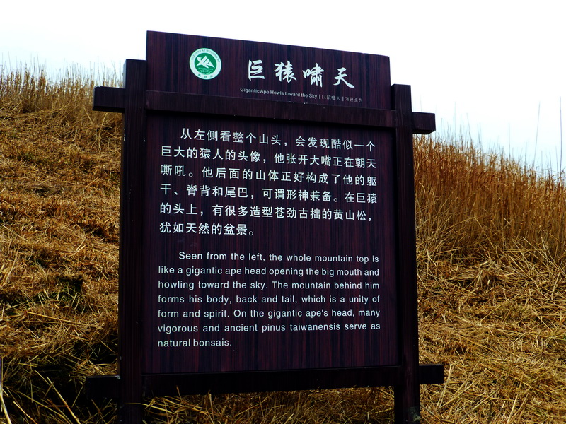 p1020588.jpg