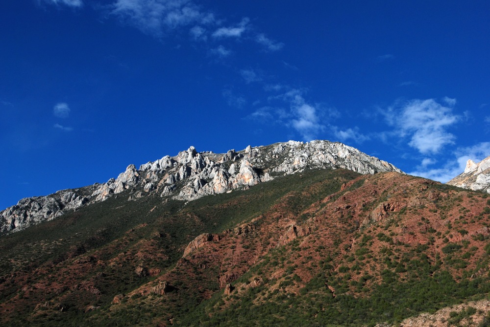 dsc_0577.jpg