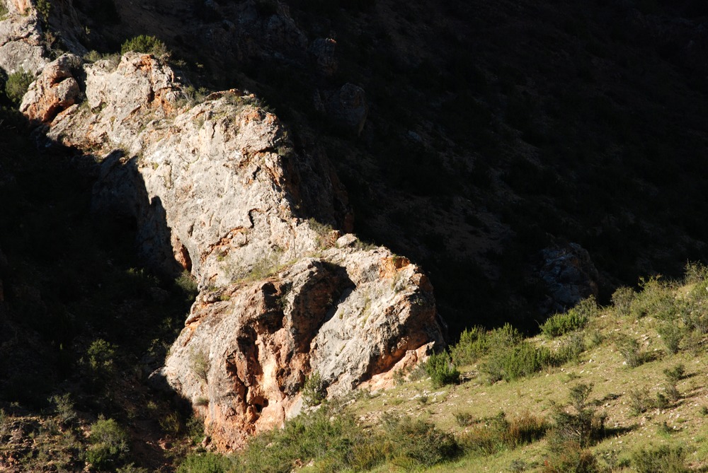 dsc_0592.jpg