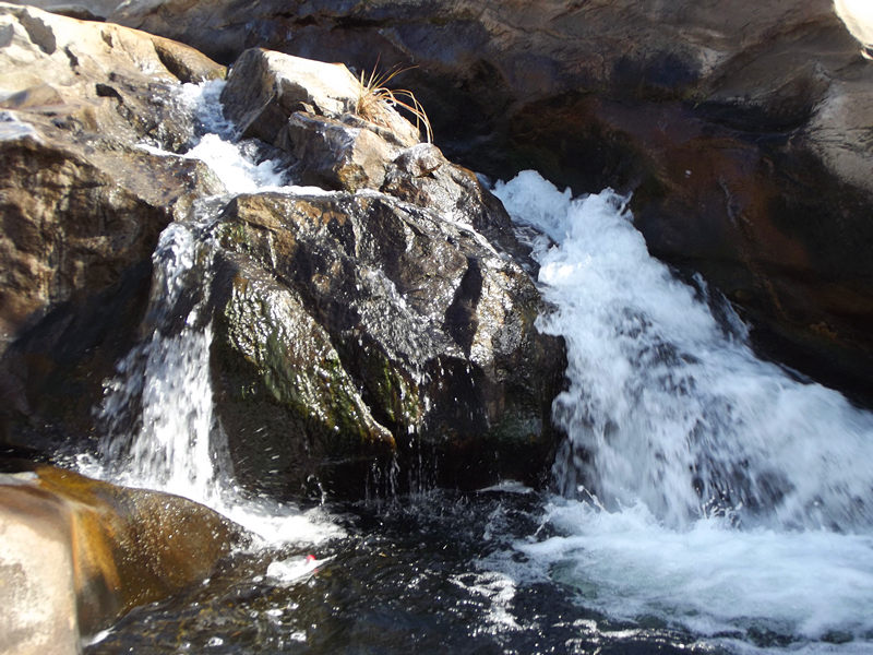 dscf0210_.jpg