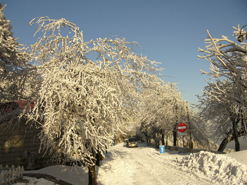 p1050038_.jpg