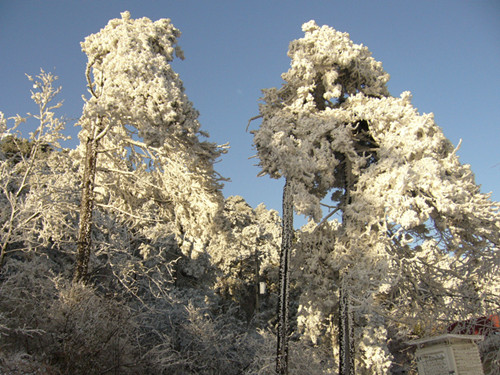 p1050037_.jpg