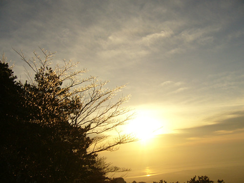 p1050110_.jpg