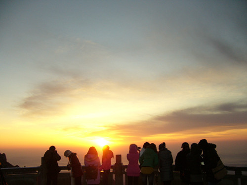 p1050094_.jpg