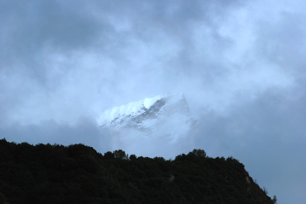 dsc_0707.jpg