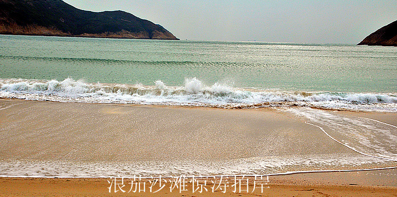 dsc_8639__.jpg