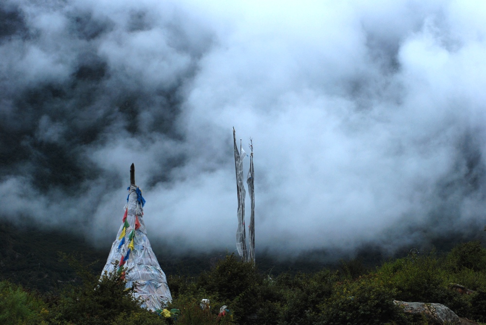 dsc_0561.jpg