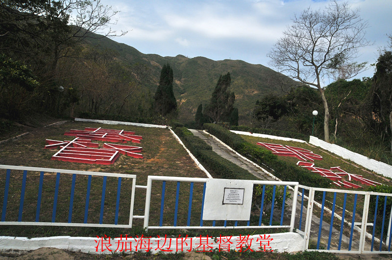 dsc_8642__.jpg