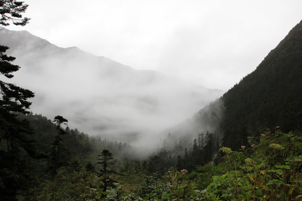 jpeg image (158857).jpg