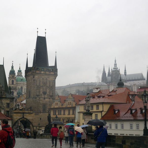 p1020431.jpg