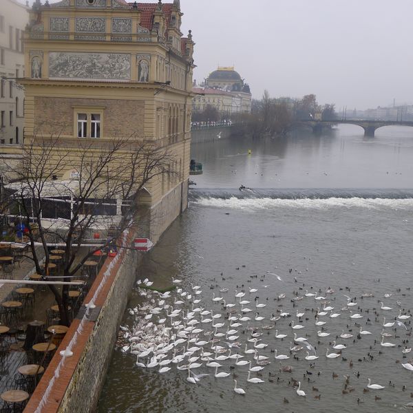p1020426.jpg