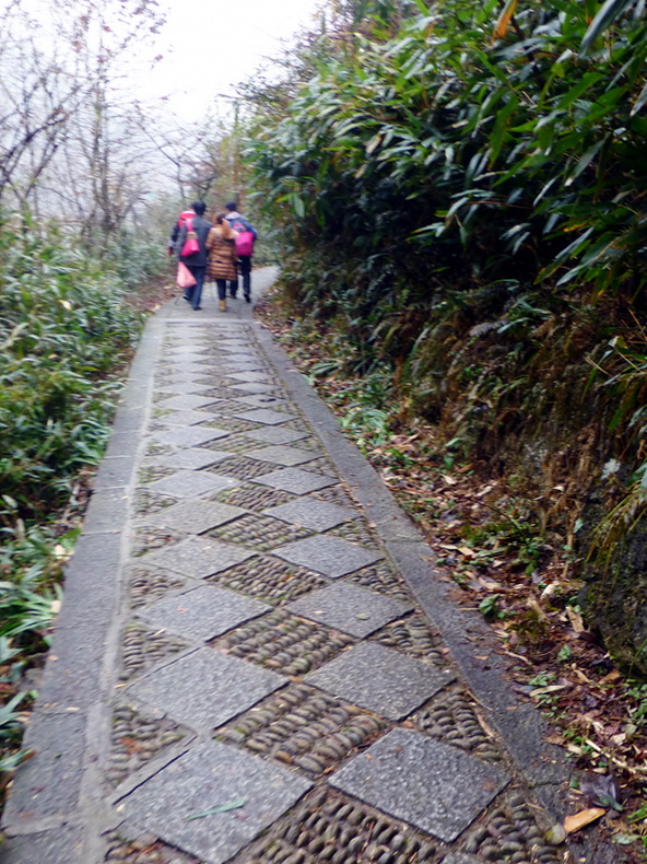 p1020755.jpg